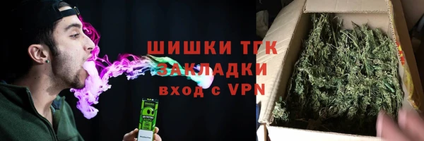 ПСИЛОЦИБИНОВЫЕ ГРИБЫ Абаза