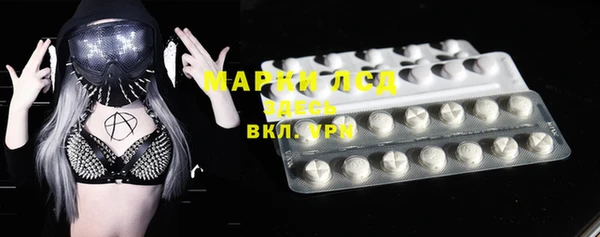 стафф Покачи