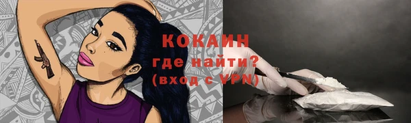 стафф Покачи