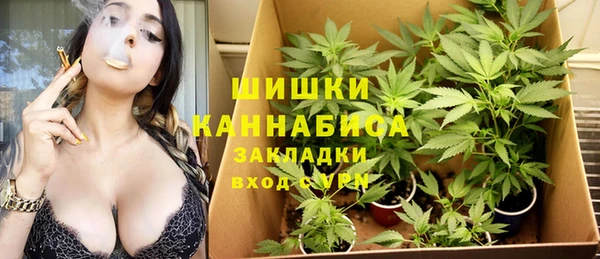 стафф Покачи