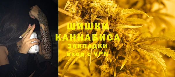 ПСИЛОЦИБИНОВЫЕ ГРИБЫ Абаза