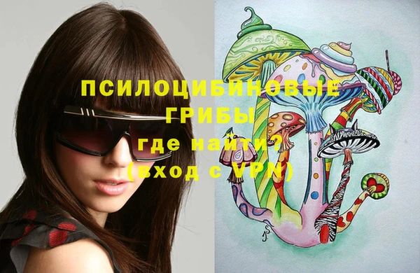 ПСИЛОЦИБИНОВЫЕ ГРИБЫ Абаза