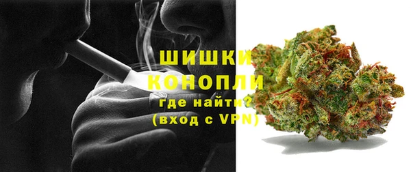 ПСИЛОЦИБИНОВЫЕ ГРИБЫ Абаза