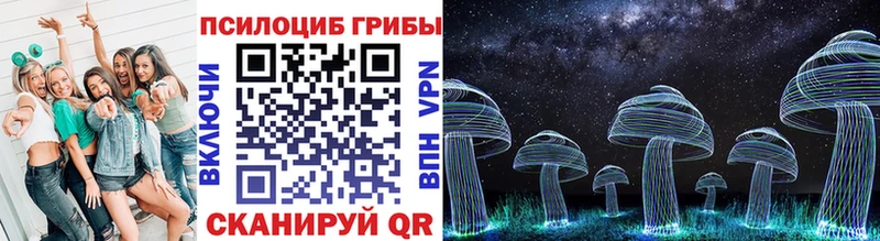 omg ссылка  купить  сайты  Касли  Псилоцибиновые грибы Psilocybe 